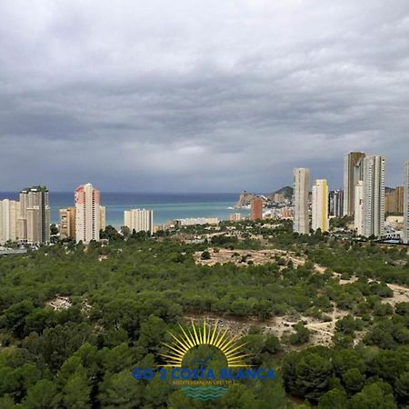Apartamento Torre VII 貝尼多姆 外观 照片
